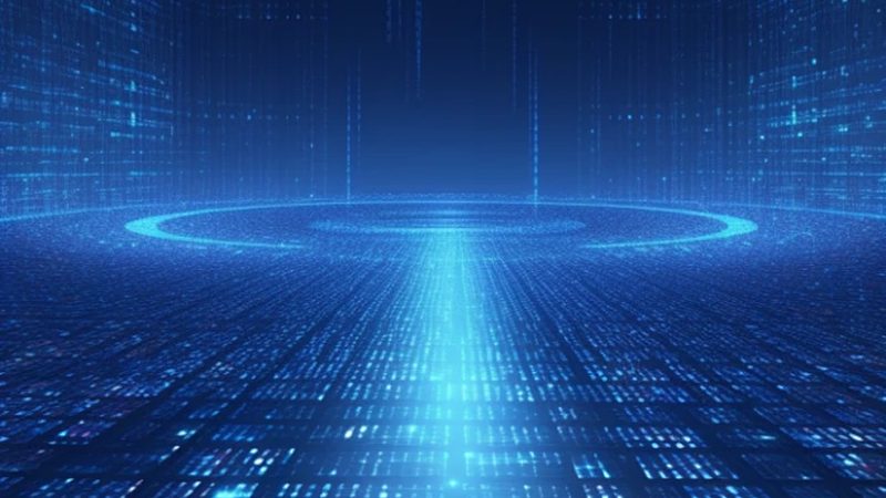 数字化解决方案定制，费用几何？揭秘定制化之路**